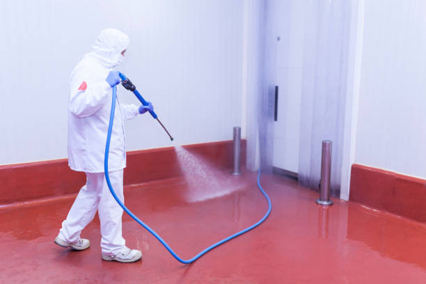 Best Driveway Pressure Washing  in Hunters Creek, FL